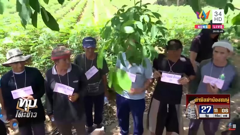 คดีน้องชมพู่