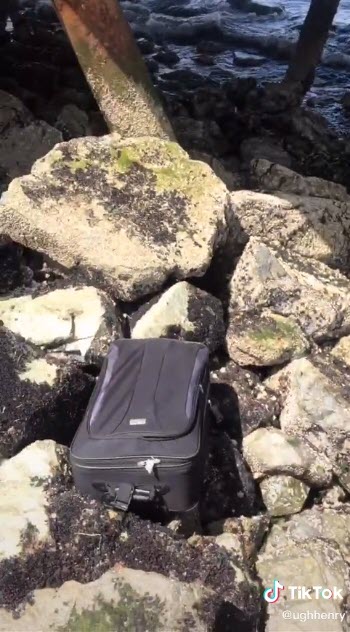 เจอกระเป๋ามีชิ้นส่วนศพ