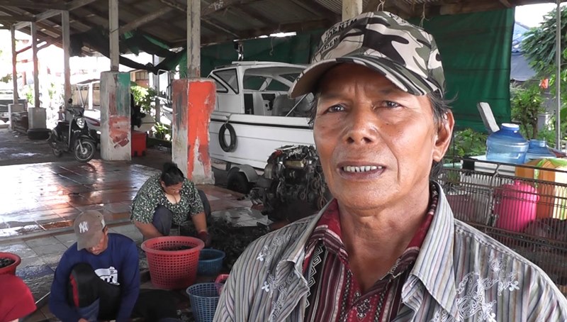 หอยแครง