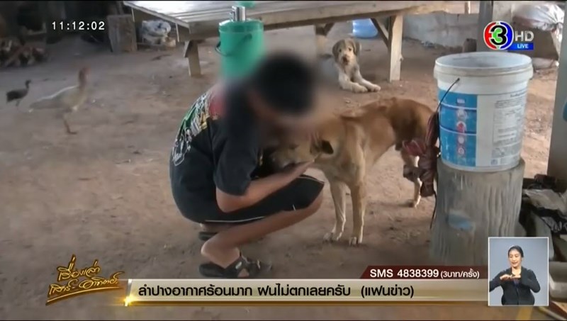 คลิปเด็กเอาไวอากร้าให้หมากิน