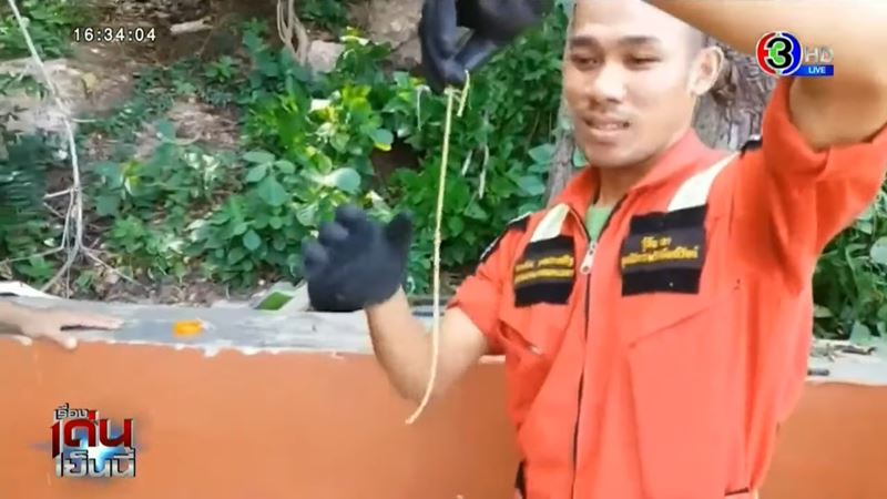 ลิงเขาสามมุข วิ่งราวสร้อยทอง