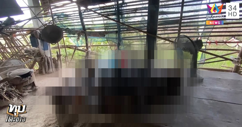 อยู่กับศพ