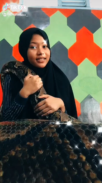 คลิปไวรัล เลี้ยงงู ใน Tik Tok