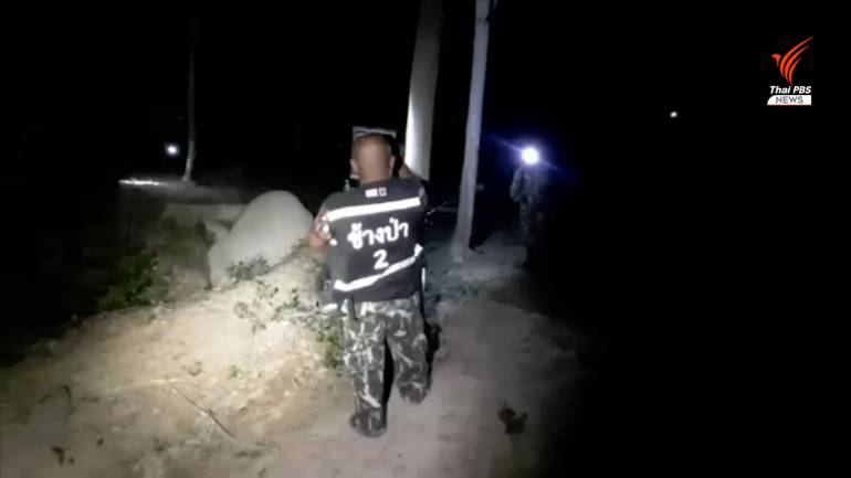 ยิงช้างล้ม