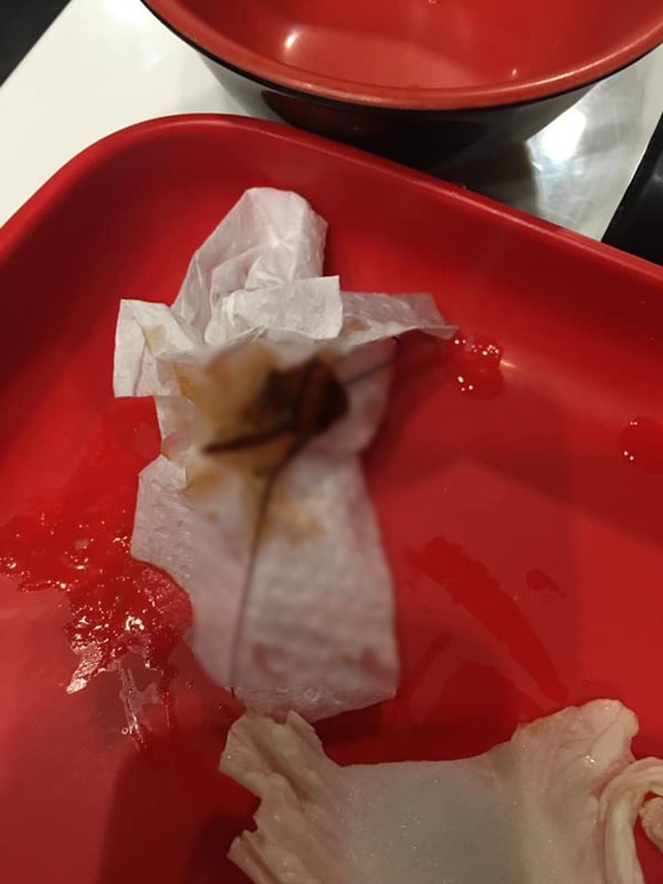 สุกี้ตี๋น้อย สั่งปิดร้าน 10 วัน