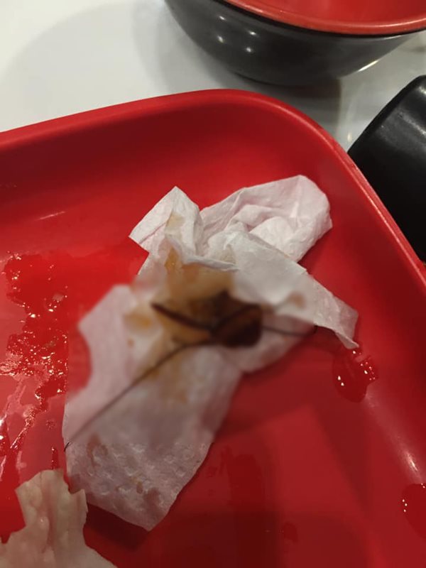 สุกี้ตี๋น้อย สั่งปิดร้าน 10 วัน