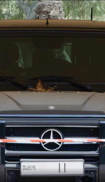 เจ้าชายดูไบ