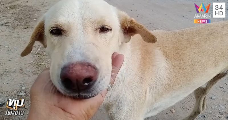 ช่องส่องผี