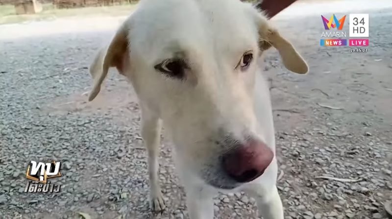 ช่องส่องผี