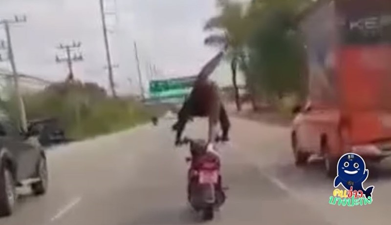 เด็กแว้นขี่รถหวาดเสียว
