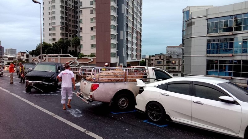 ดาวร้ายคณะลิเก เสียชีวิต