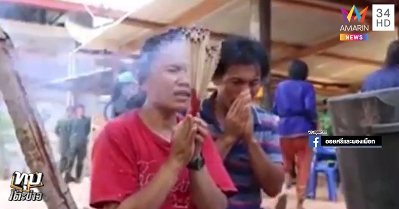 ข่าวน้องชมพู่