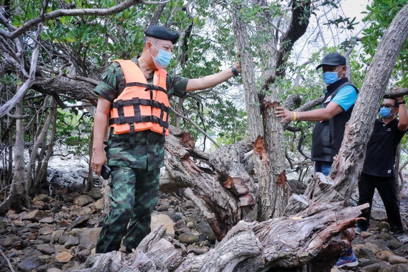 เทียนทะเล