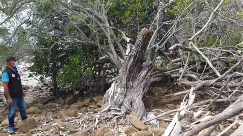 เทียนทะเล