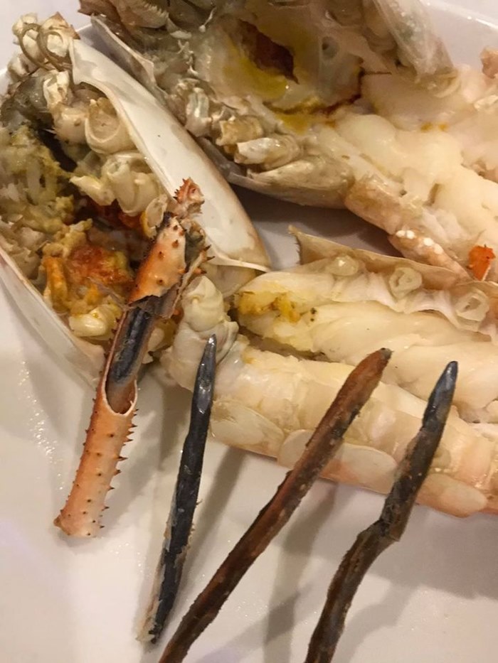 ยัดตะปูในกุ้งแม่น้ำ