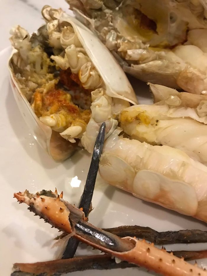 ยัดตะปูในกุ้งแม่น้ำ