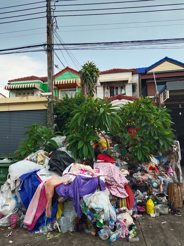 สะสมขยะ