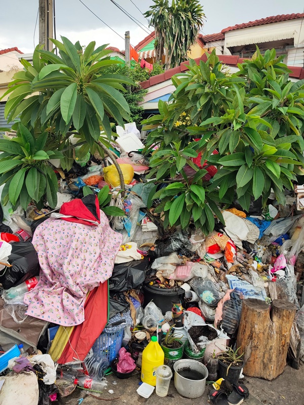 สะสมขยะ