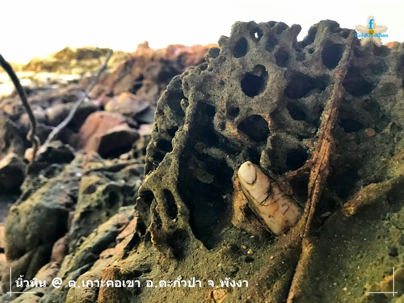 หินนิ้วมือ