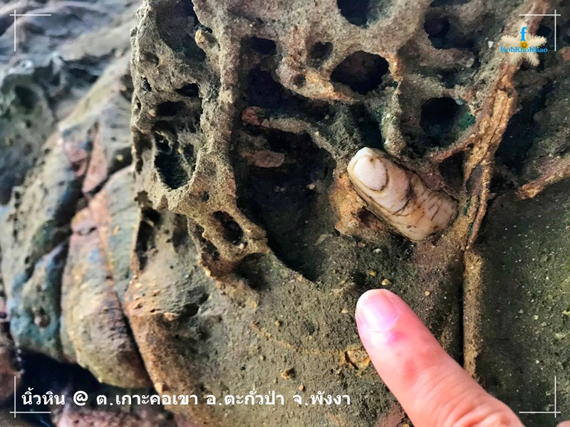 หินนิ้วมือ