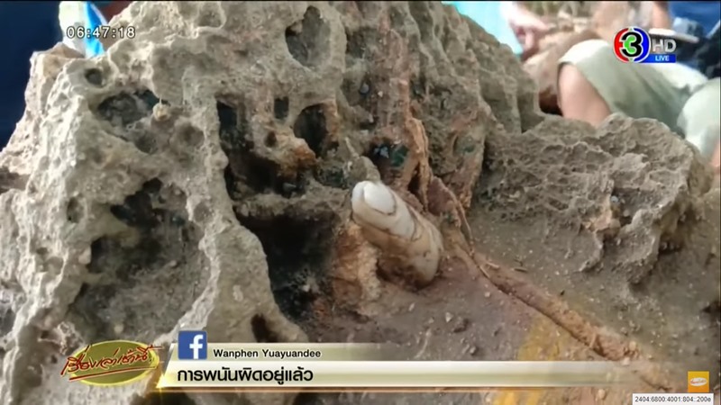 หินนิ้วมือ