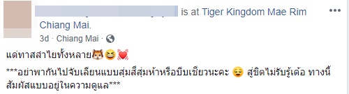 จับไข่ บีบอวัยวะเพศเสือ