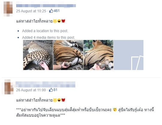 จับไข่ บีบอวัยวะเพศเสือ