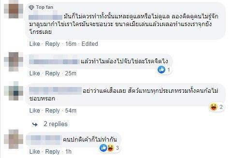 จับไข่ บีบอวัยวะเพศเสือ