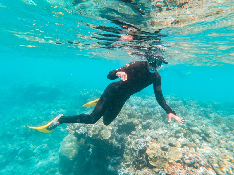 จระเข้กัดคน