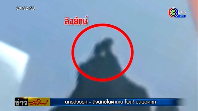 พญาวานร ลิงยักษ์ นครสวรรค์