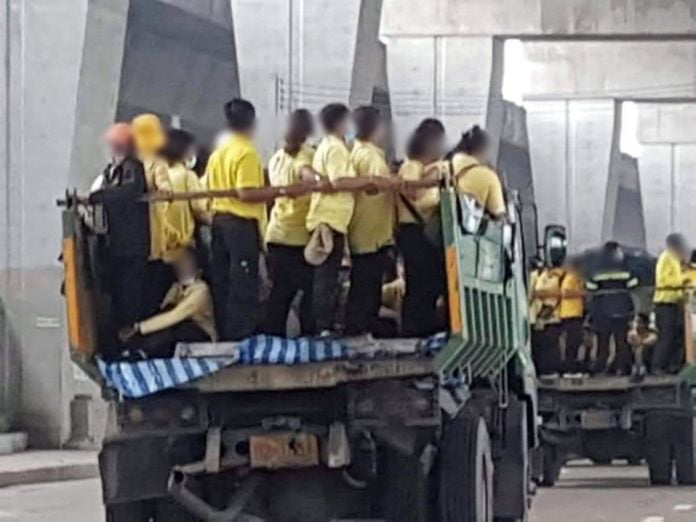 รถขยะขนคนเสื้อเหลือง