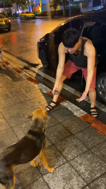 เมาอุ้มหมากลับบ้าน