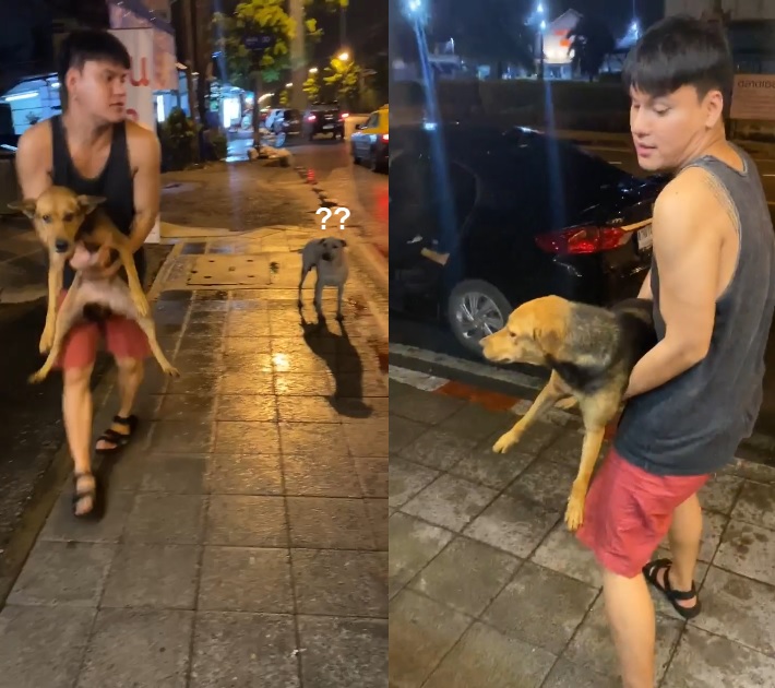 เมาอุ้มหมากลับบ้าน