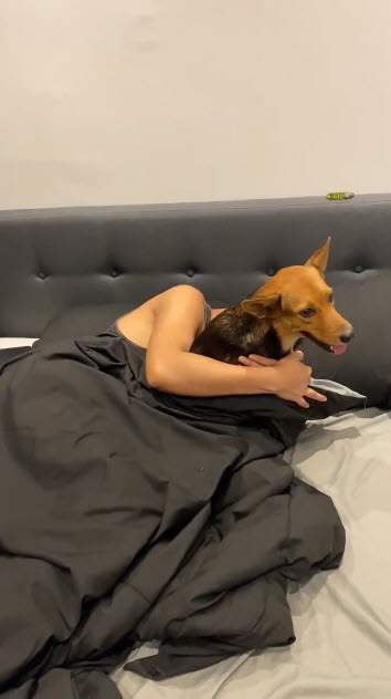 เมาอุ้มหมากลับบ้าน