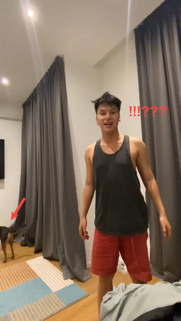 เมาอุ้มหมากลับบ้าน