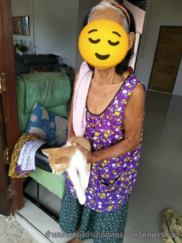 เด็ก 4 ขวบ แขวนคอแมว