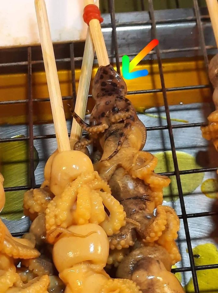 หมึกบลูริง