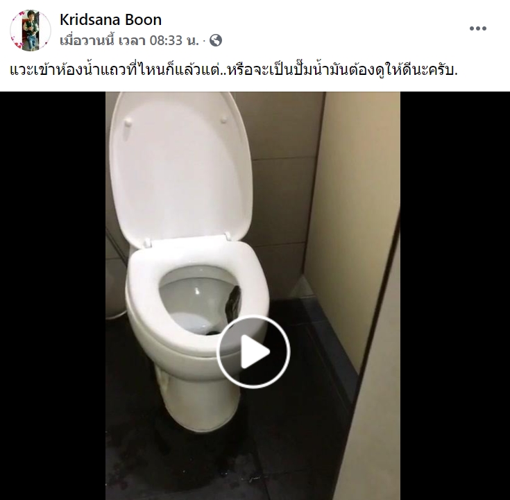 งูในชักโครก