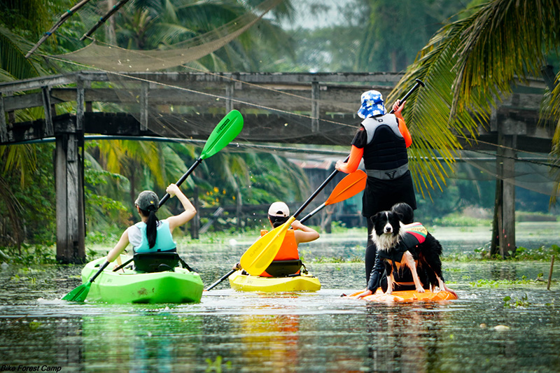 ท่องเที่ยวไทย