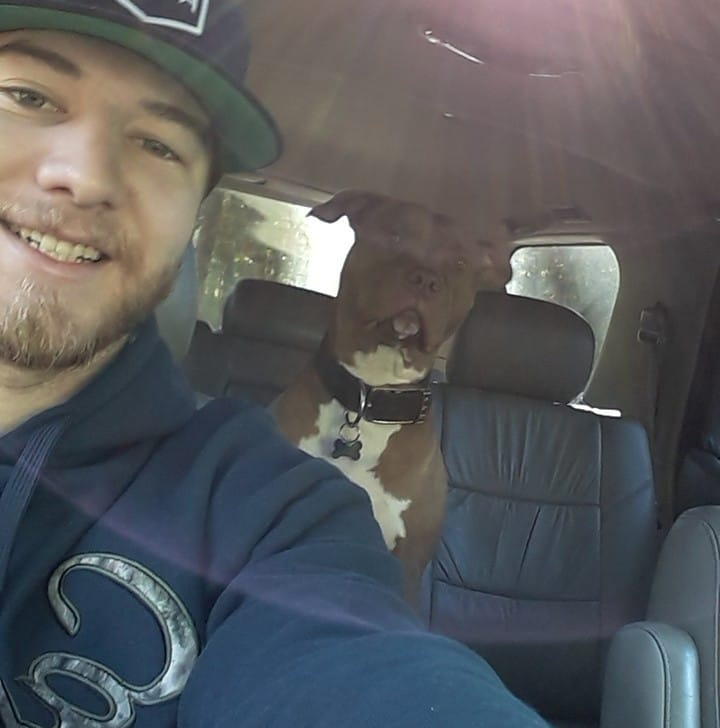 ต่อยหมีช่วยหมา