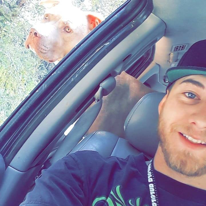 ต่อยหมีช่วยหมา