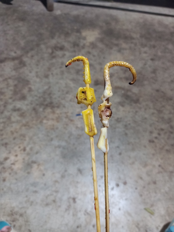 ปลาหมึกปิ้ง