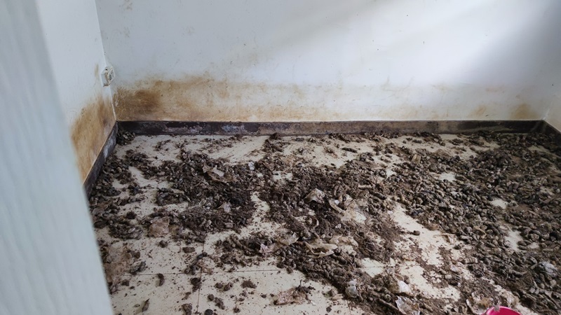 บ้านเช่าห้องขี้หมา