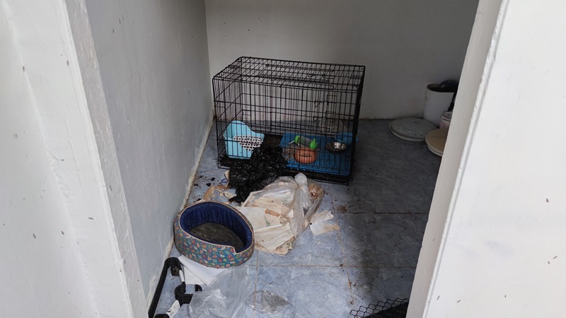 บ้านเช่าห้องขี้หมา