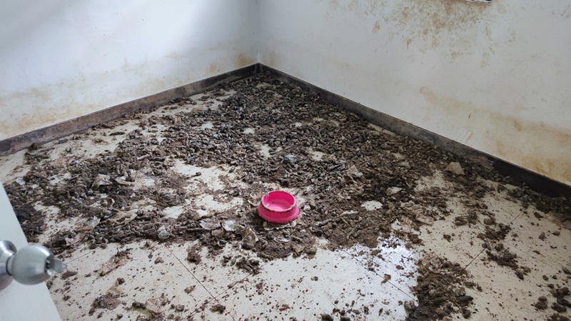 บ้านเช่าห้องขี้หมา