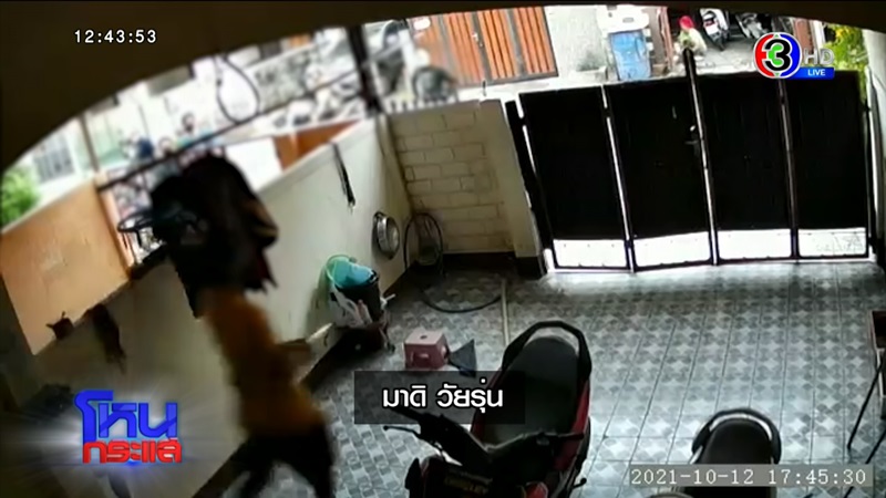 ข่าว 6 รุม 1