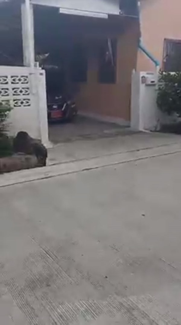 จอดรถขวางหน้าบ้าน