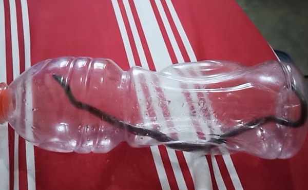 สั่งของออนไลน์