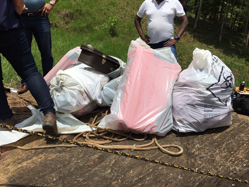 Marilia Mendonca เครื่องบินตก