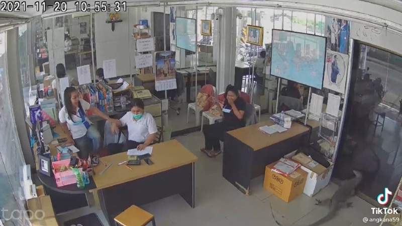 ตัวเงินตัวทอง